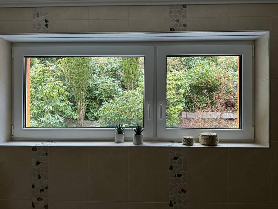 Stilvolle In Ruhiger Lage Apartment Willingen (Upland)
