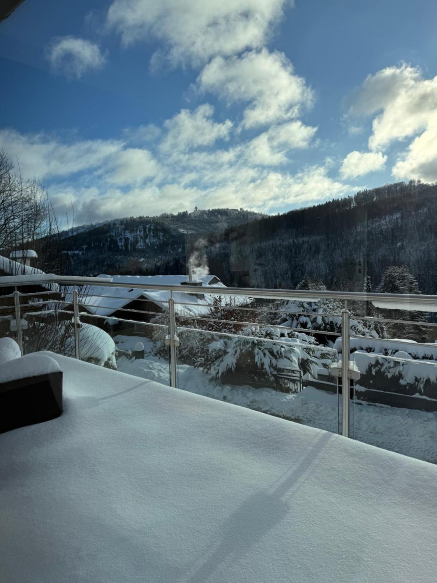 Stilvolle In Ruhiger Lage * Willingen (Upland)